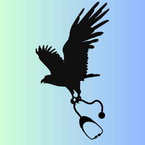 DocHawk Design